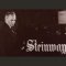 Ignaz Friedman travaillant sur son piano Steinway.